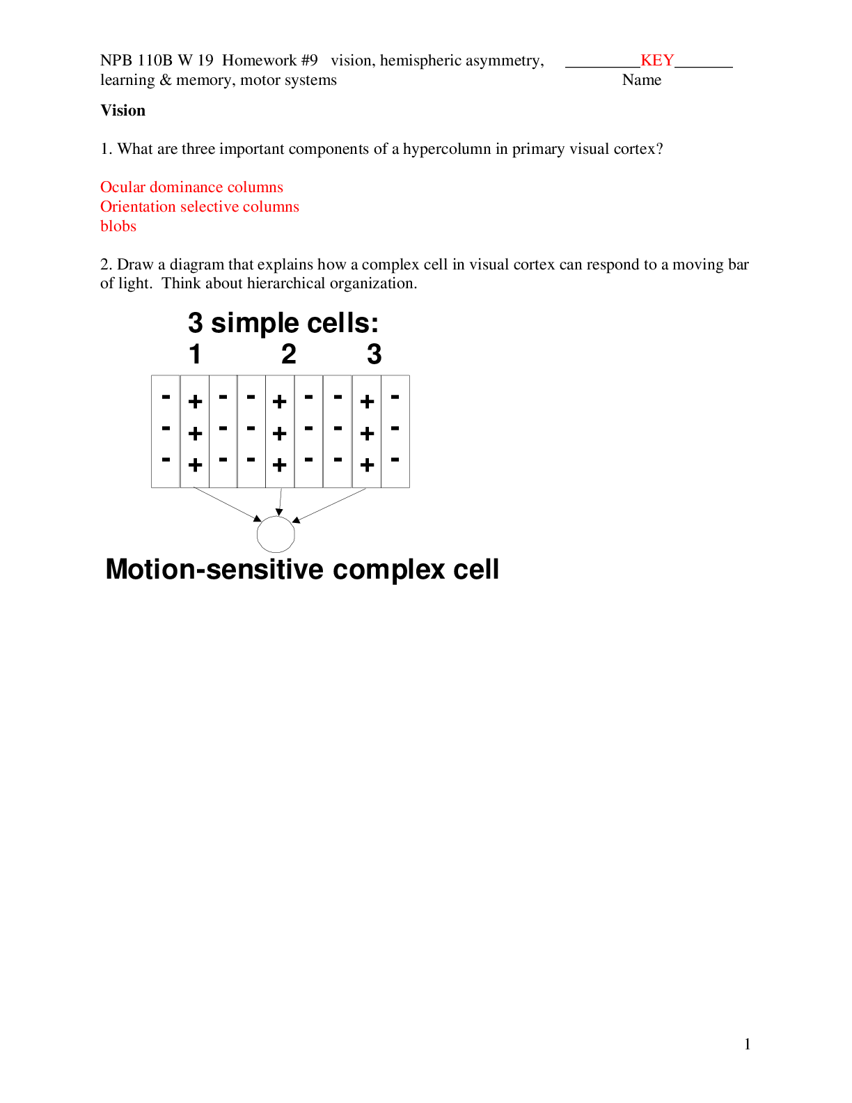 Preview of NPB 110B W19 Homework 9 KEY(elaborations) NPB 110B : Neurobiology Foundations (NPB 110B)